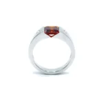 Ring - L'Horizon Rouge
