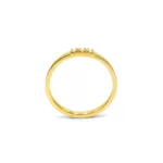 YG RING W: 2.30g DIAM:3X0.02ct F:750