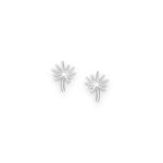 Earring – Palmistry