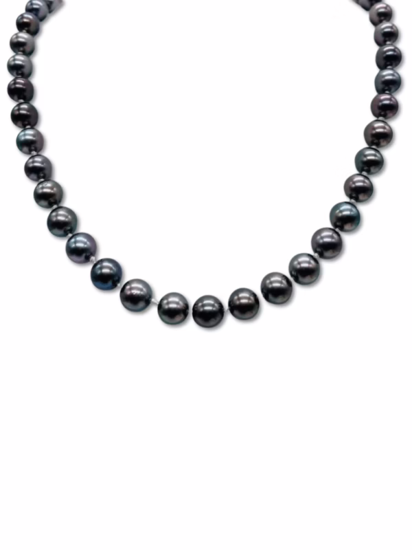 Necklace - Tahiti Pearl
