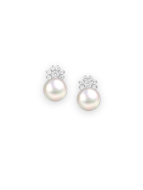 Earrings-Silver White Perles