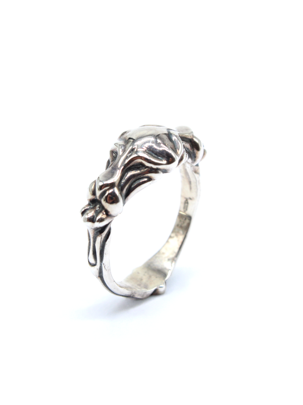 Ring - Lion Roar